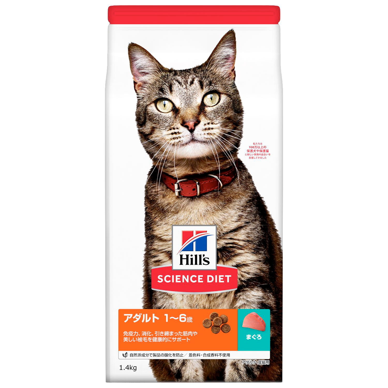 未開封　猫用　満腹感サポート＋CLT ドライ　療養食　ロイヤルカナン　獣医師専用 満腹感サポート (猫用 ドライ) | ロイヤルカナン療法食公式通販