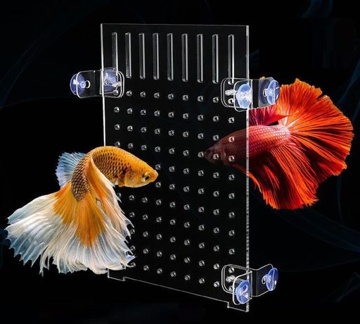 楽天市場】Yurika 水槽仕切り板 20 セパレーター 水槽用 魚隔離板 透明