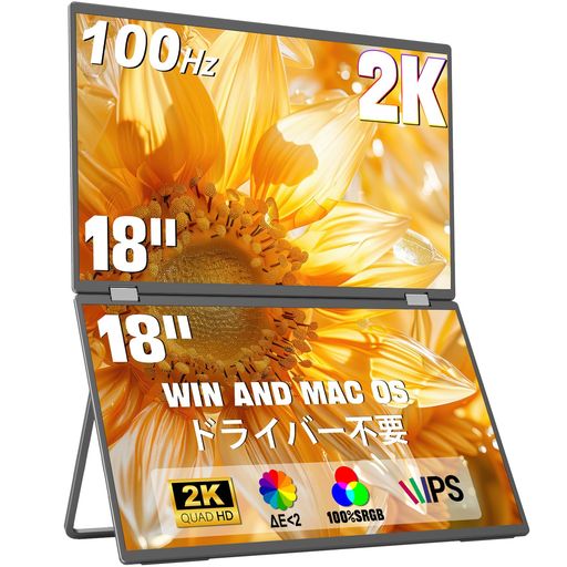 楽天市場】InnoViewデュアルモバイルモニター18インチ2K2560x1600100Hz