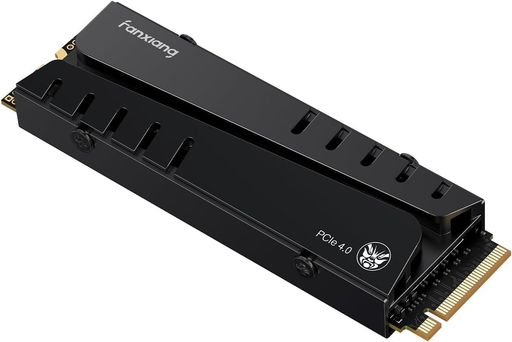fanxiangS770SSD4結核症【DRAM現ナマ積み上げる/なおなお書き5動くこと突きとめる済】最大限度7400MB/sM.2NVMe2280PCIeGen4.0x464Gb/sM.2SSDヒートシンク付き添い人3DNANDTLC内蔵SSD