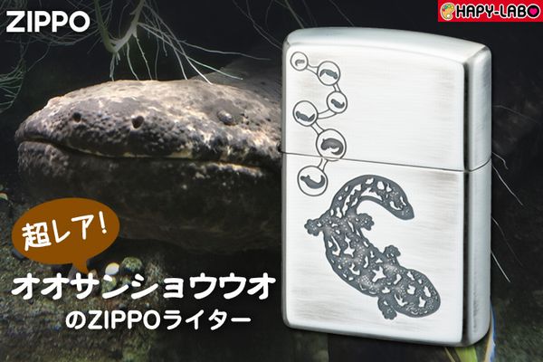 楽天市場】ジッポ オオサンショウウオ /ZIPPO/大山椒魚/ハンザキ