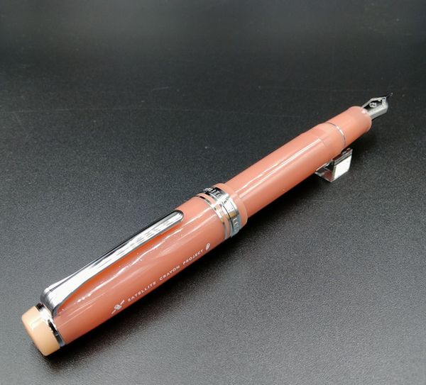 楽天市場】【即納】【Sailor/セーラー】創立100周年記念謹製万年筆【島