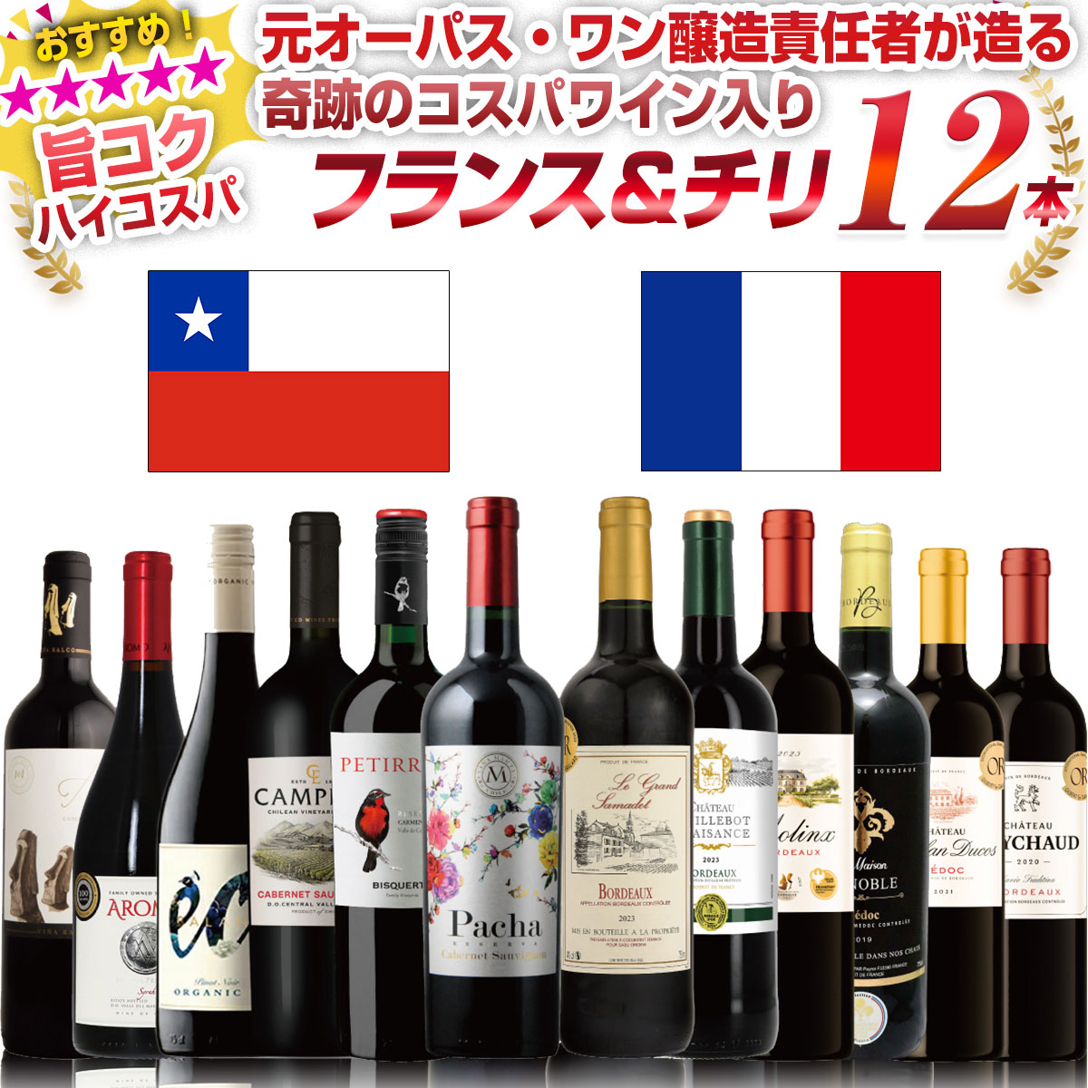 【コク旨12本】濃く旨赤ワイン フランス＆チリワイン 飲み比べセット 堂々たる風格と熟成度 フランス格上メドック、そして100種を超える試飲から厳選した高コスパチリワイン 香り 果実味 バランス からしっかりセレクト！ フルボディ ミディアムボディ 辛口：FMCHILE