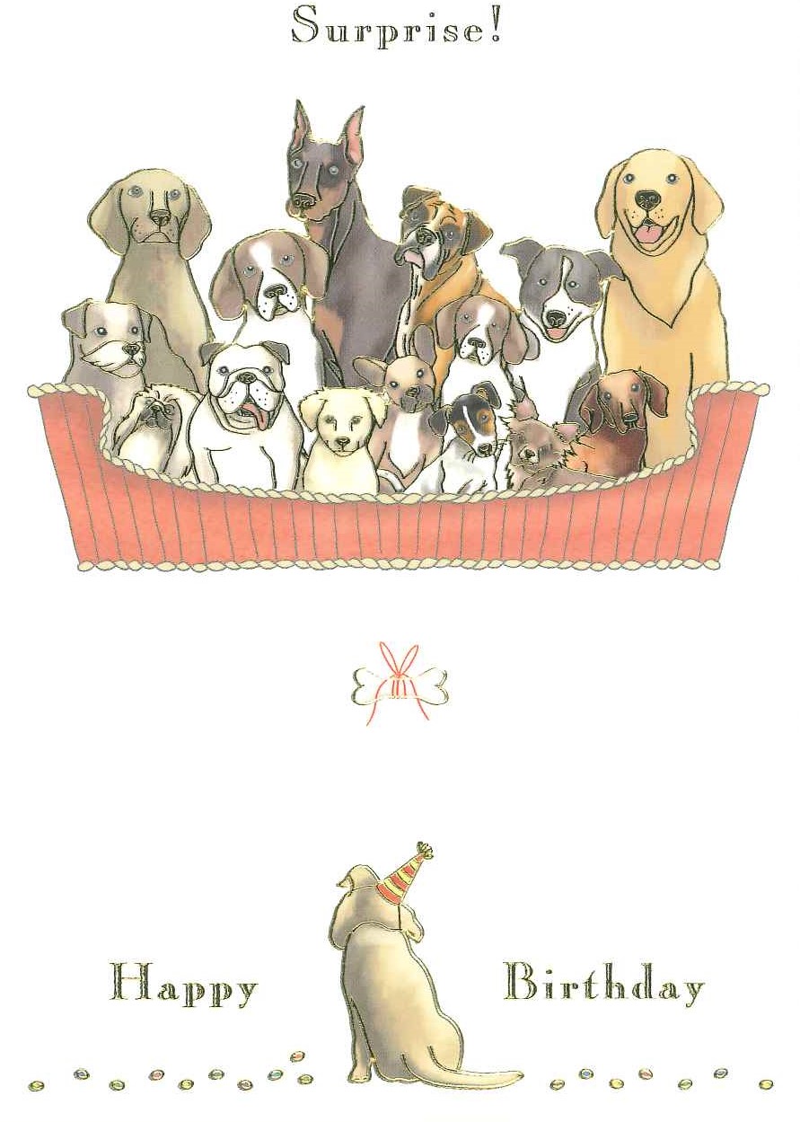 楽天市場 バースデーカード グリーティングカード 輸入カード 誕生日 オランダ Quire クワイヤー 定型サイズ 封筒付き 箔押し エンボス加工 Mac Classic Happy Birthday ドッグ 犬集合 Best Wishes成城 楽天市場店