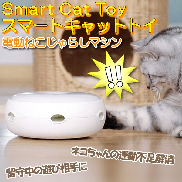 楽天市場 猫 おもちゃ 猫じゃらし 電動 ねこじゃらし 交換用羽毛付き 自動 電池式 ドーナツ型 子猫 Led 遊び道具 スマートキャットトイ おしゃれ ねこ ネコ 運動 玩具 ベストアンサーの宝ショップ