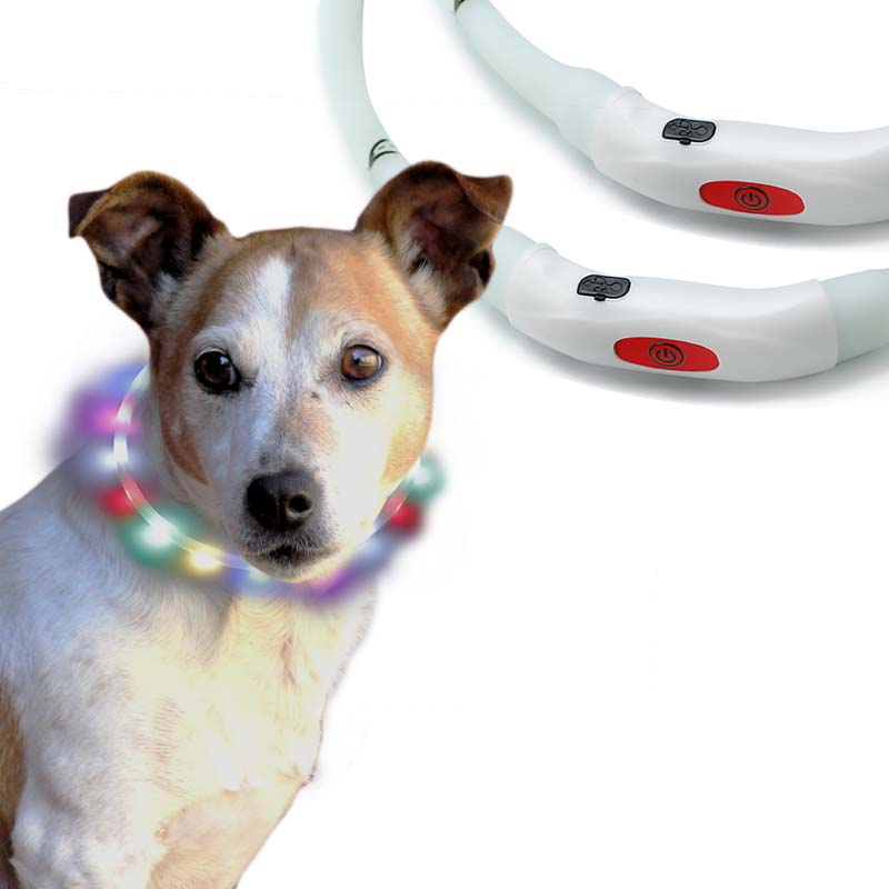 世界のペット 散歩 LED ライトストラップ rainbow 防水対応 犬用品
