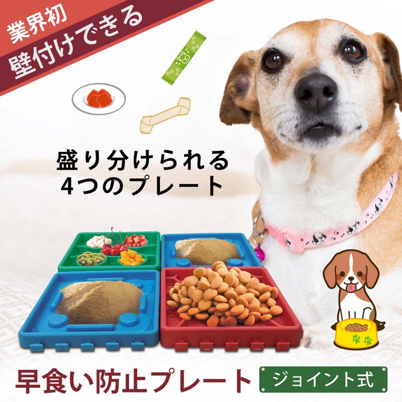 返品?交換対象商品】 給餌器 自動 4回 犬 猫 円盤型 出張 旅行 ネコ エサやり ドッグフード 白 ピンク ブルー ペット用品 送料無料  ccps.sn