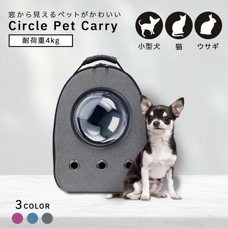 楽天市場】限定お試し価格 型犬 首輪 リードセット 犬 リード 楽天市場】限定お試し価格 型犬 首輪 リードセット 犬 リード