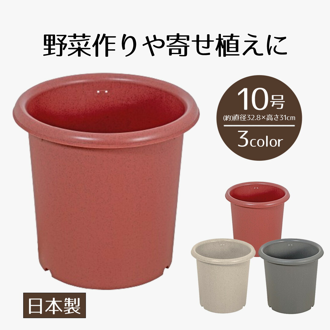 楽天市場】植木鉢 鉢植え プラスチック 10号 ガーデンポット10号