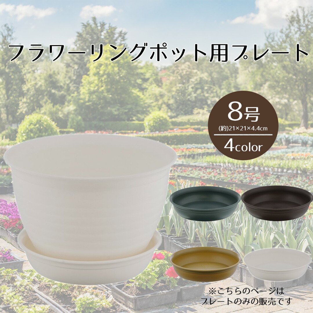 楽天市場】フラワーリングポット プレート6・7号 ベストコ