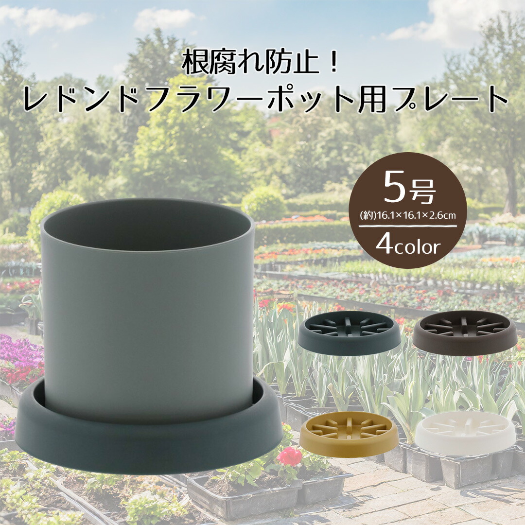 焦げた皿 マーガレット柄 耐熱キッシュ皿 大 全4色 | 光泉窯 -kosengama-