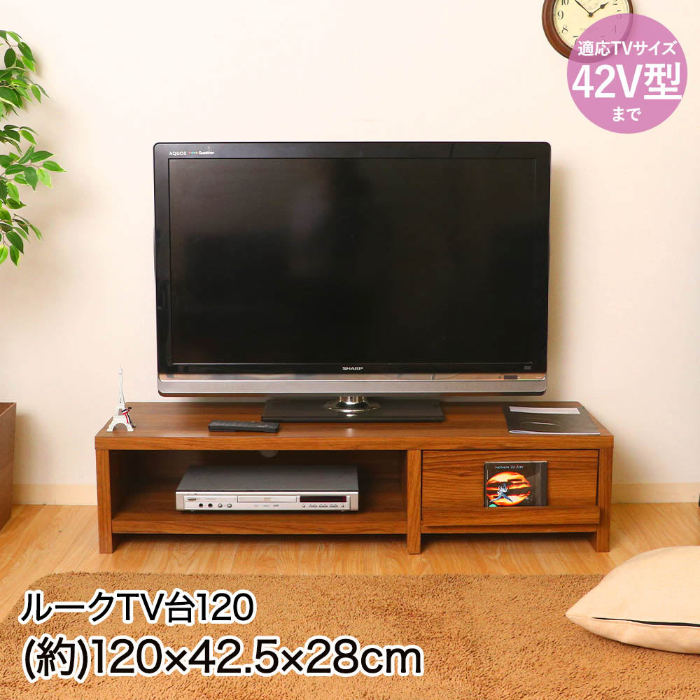 不二貿易 TV台 120幅 120×42.5×28cm 42V型まで 組立品 ECF-TV120 ルーク | テレビ台 テレビ TV テレビラック TVラック 42型 コード穴あり ゲーム機 DVD DVDレコーダー AV機器 デッキ インテリア インテリア雑貨 家具 扉付 扉付収納 収納 収納スペース おしゃれ