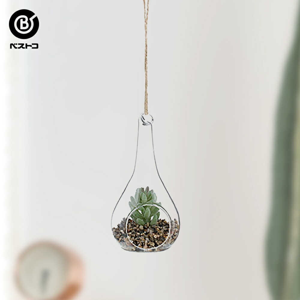 本物の フェイク テラリウムグリーン ハンギングシズク ３ 観葉植物 壁掛け 壁かけ ミニ 人工観葉植物 造花 多肉植物 小さい インテリアグリーン おしゃれ プレゼント ギフト コンパクト セット 人工 鉢 グリーン インテリア 植物 新生活 Aph Tehnik Com Ua