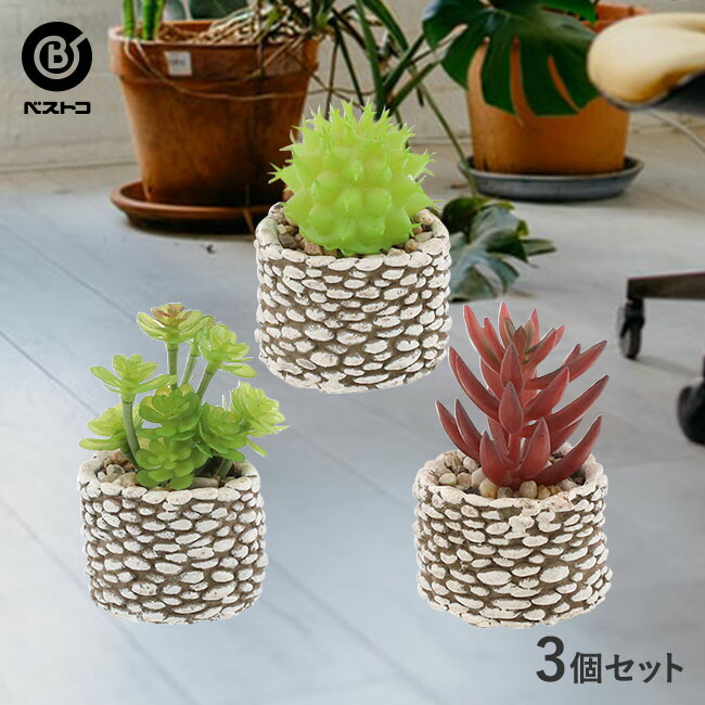 楽天市場 フェイクグリーン テラリウム ハンギング フラスコ 3個セット 観葉植物 壁掛け 壁かけ フェイク ミニ 人工観葉植物 造花 多肉植物 ガラス鉢 小さい インテリアグリーン おしゃれ プレゼント セット 人工 インテリア 植物 ミニ観葉植物 手入れ 簡単