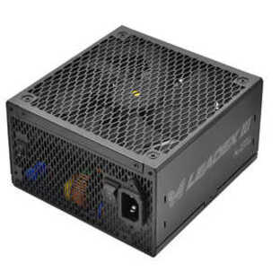 ◆LEADEX III GOLD◆ATX3.1◆SF-850F14GE