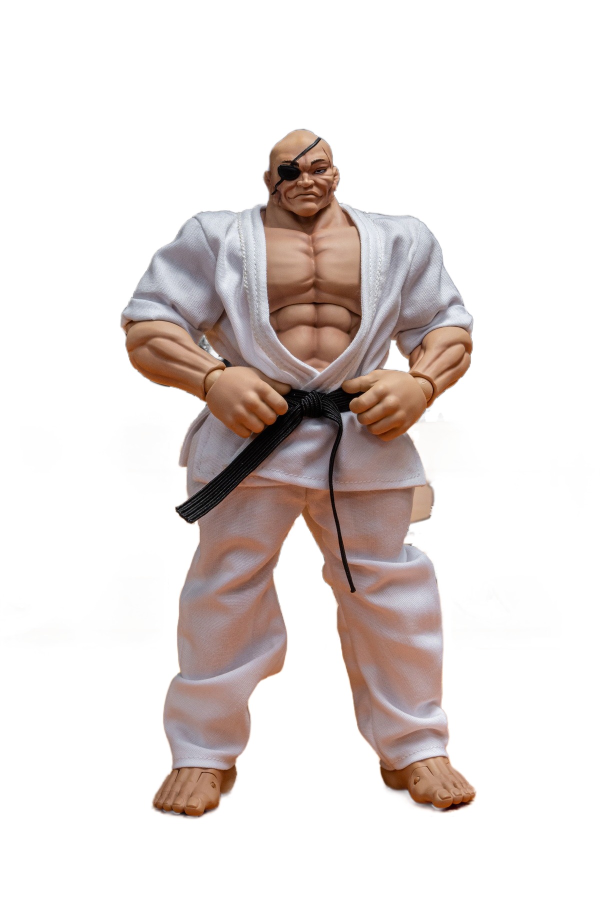 Storm Collectibles 範馬刃牙 Baki バキ1/12フィギュア BAKI HANMA - BAKI Collectible Action Figure – Storm Collectibles