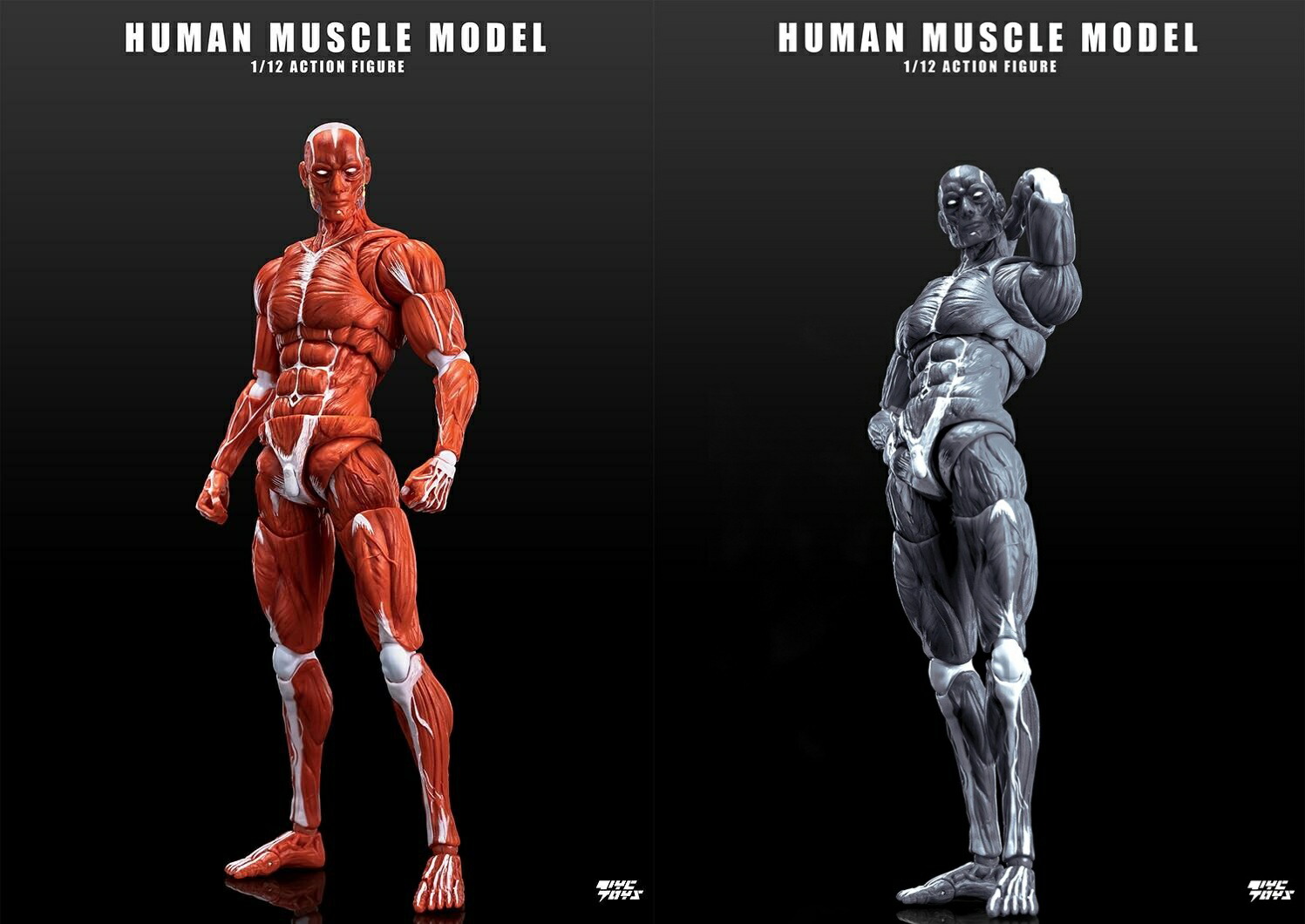 ADAM 1/12 男性 超可動 アクション フィギュア デッサン人形 AD01 ADAM】AD01 1/12 COMIC STYLE SUPER STRONG MALE BODY コミック