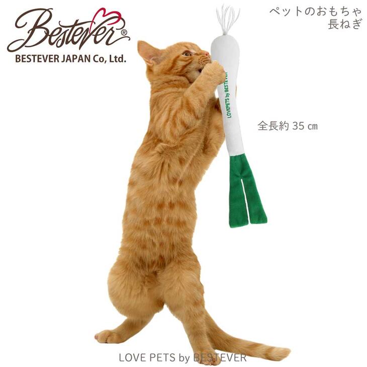 楽天市場 大人気 犬 猫 おもちゃ ペットトイ 音が鳴る 遊ぶ ストレス解消 蹴りぐるみ Love Pets By Bestever ラブペッツ バイ ベストエバー 長ネギ 葱 長ねぎ ベストエバージャパン直営店