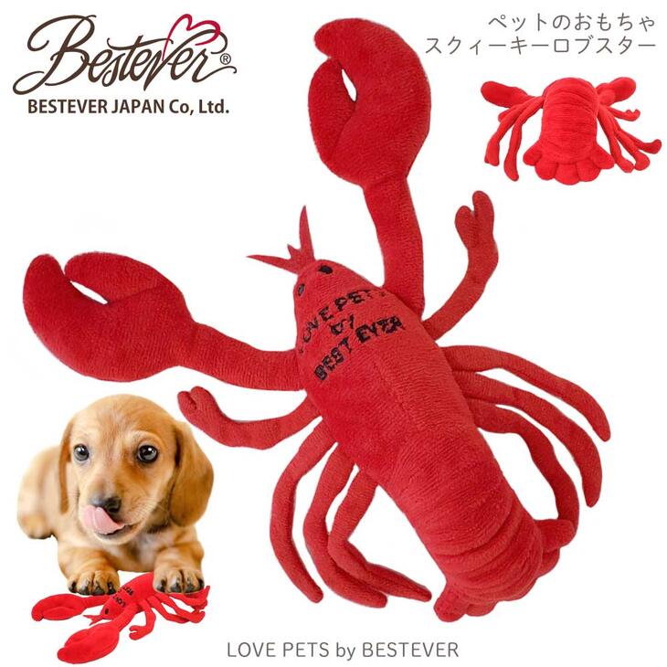 楽天市場 大人気 犬 おもちゃ ペットトイ 音が鳴る 遊ぶ ストレス解消 Love Pets By Bestever ラブペッツ バイ ベストエバー 海老 エビ 伊勢海老 イセエビ ロブスター ベストエバージャパン直営店