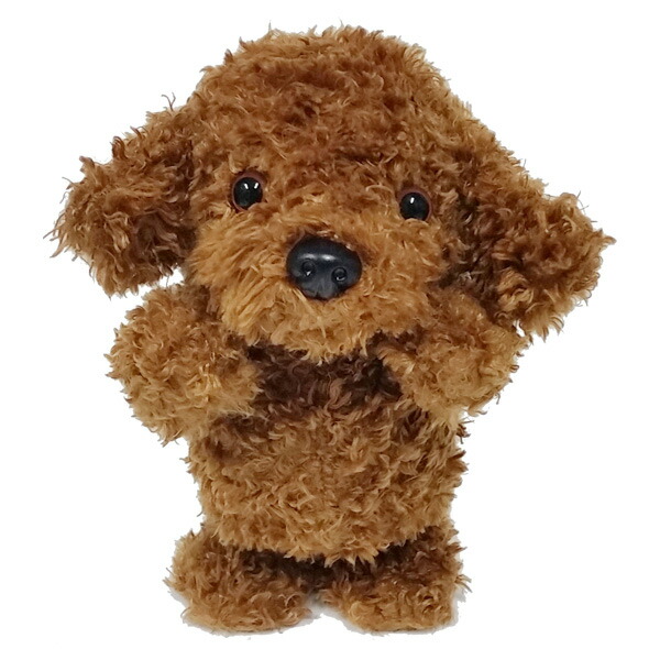 Toy Labradoodle Puppy Wow Blog