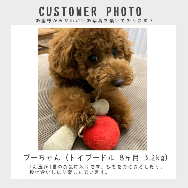 楽天市場 犬用 犬のおもちゃ けん玉のぬいぐるみ ベストエバー 犬のおもちゃ Love Pets By Bestever 音が鳴る かわいい おもしろ ペット用 ラッピング無料対応可 ベストエバージャパン直営店