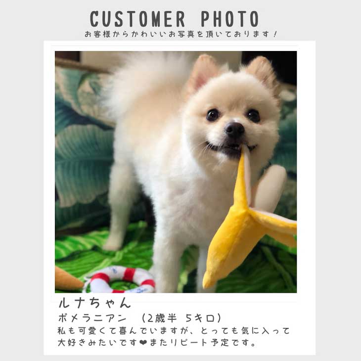 楽天市場 犬のおもちゃ バナナのぬいぐるみ ベストエバー 犬用おもちゃ Love Pets By Bestever 音が鳴る かわいい おもしろ ペット用 ラッピング無料対応可 ベストエバージャパン直営店