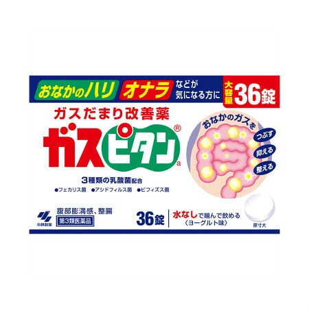 【第3類医薬品】ガスピタンa 36錠【10個セット】(4987072011256-10)