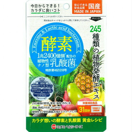 酵素 62球 植物性ナノ型乳酸菌配合 6個セット(4945904018101)