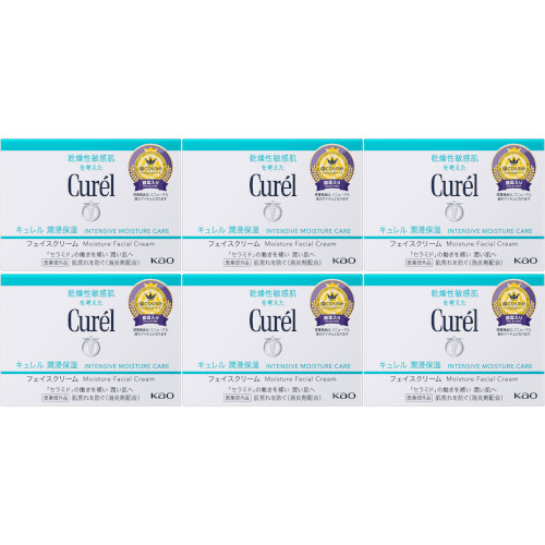 【6個セット】キュレル 潤浸保湿 フェイスクリーム 40g【宅急便コンパクト】(4901301236210-6)｜ベストＨＢＩ
