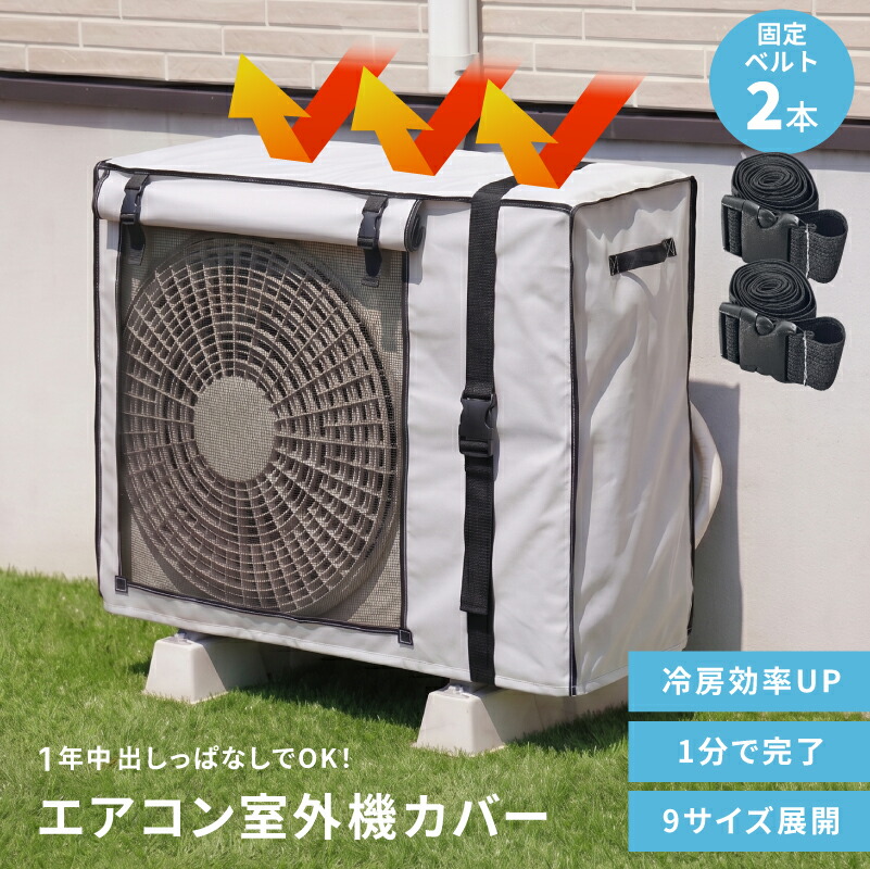 たね グリーンフィールドプロジェクト へちま　太ヘチマ　小袋