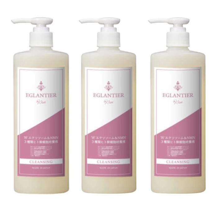 【3本セット】EGLANTIER エグランティエ クレンジング キレイ500mL【業務用】 キレイシリーズ ジェルタイプクレンジング マツエクOK　パラベン、鉱物油フリー 14,600円