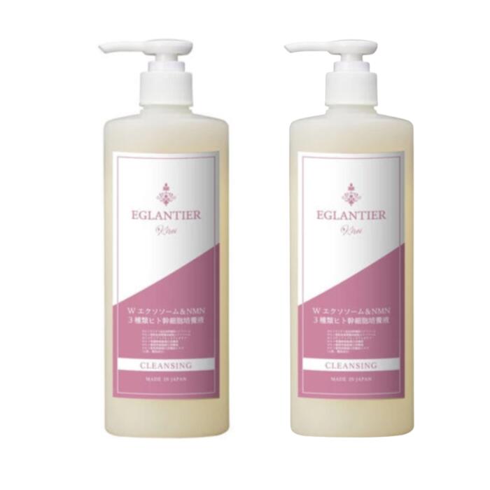 【2本セット】EGLANTIER エグランティエ クレンジング キレイ500mL【業務用】 キレイシリーズ ジェルタイプクレンジング マツエクOK　パラベン、鉱物油フリー