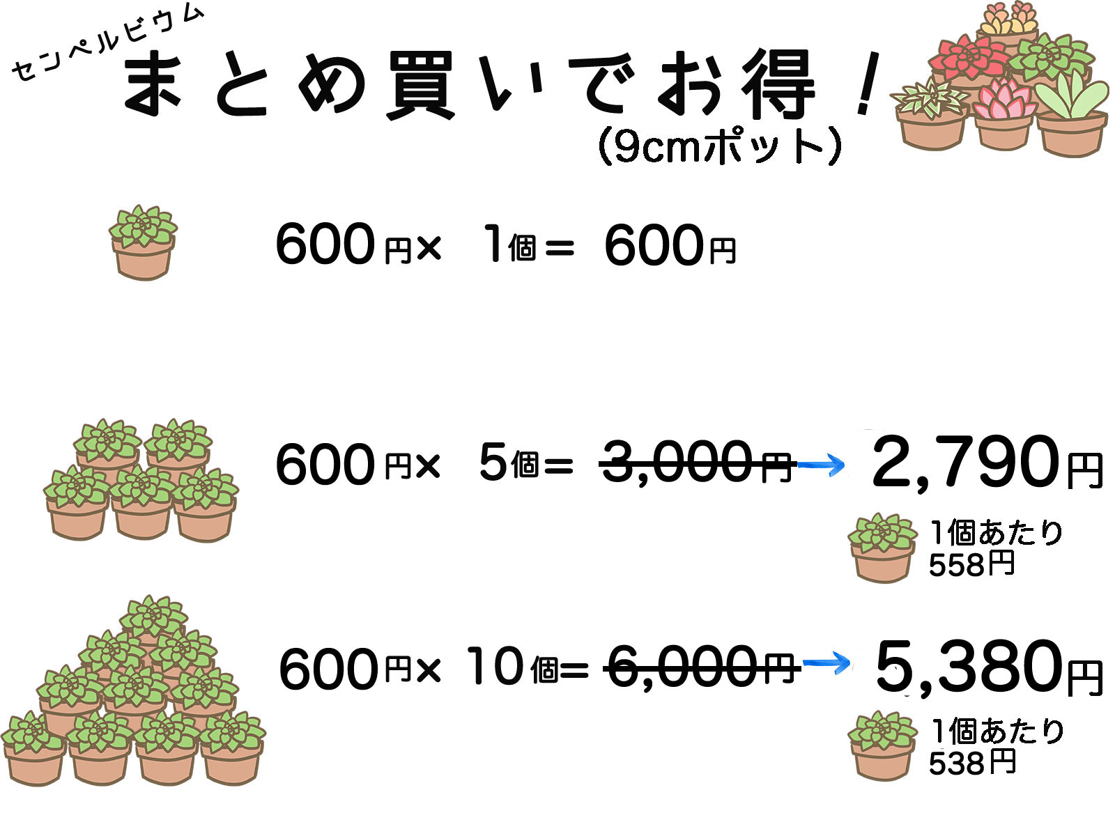 楽天市場 多肉植物 センペルビウム ウォルコットバラエティ 9cmポット Fグループ Sempervivum Wolcott S Variety 花苗と球根の店 Better Gardens