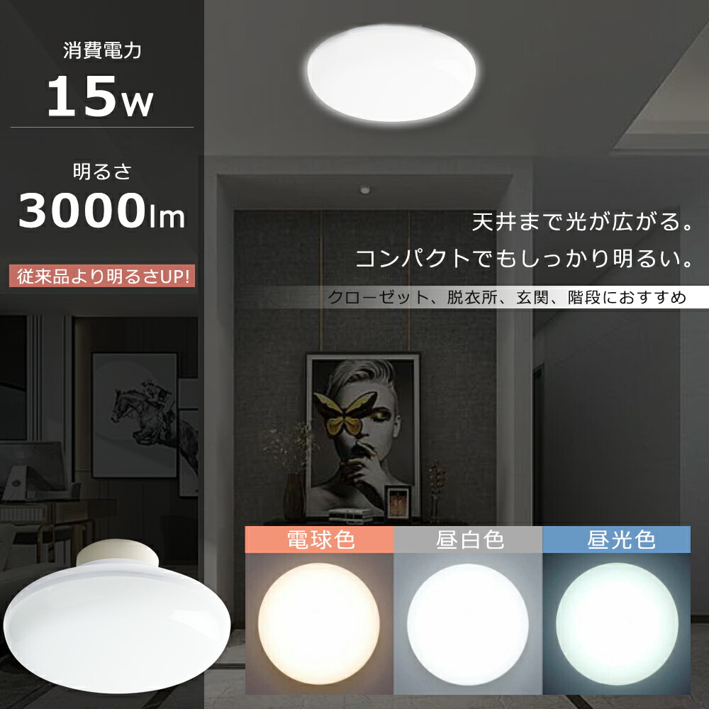 シーリングライト 6畳 昼白色 ten15w3000lm21.jpg