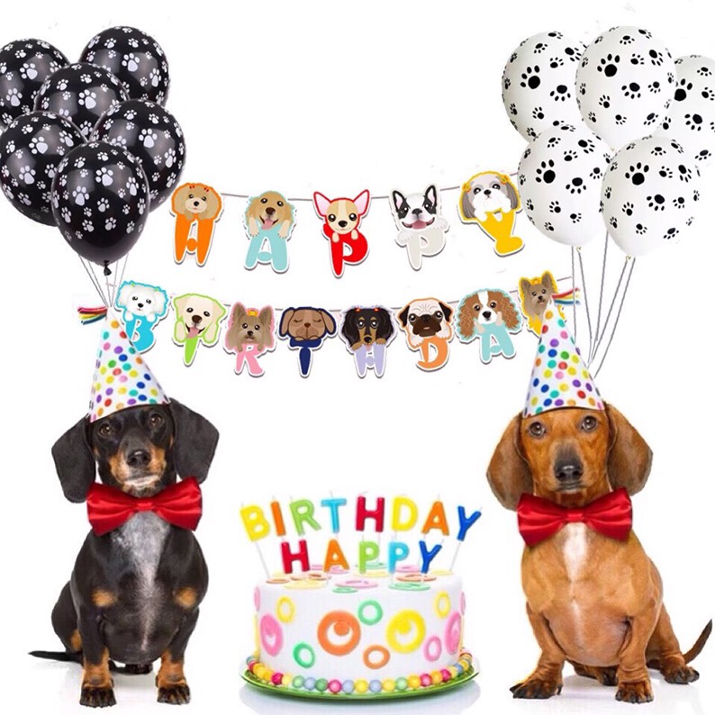 楽天市場 送料無料 ペットのワンちゃんの誕生日バルーンセット 犬用 ワンコグッズ 犬好き Dog Birthday 愛犬 誕生日パーティー 記念日 飾り付け 思い出 フォト 感謝 サプライズ バースデー プレゼント いつも一緒にいてくれてありがとう Devia Collection