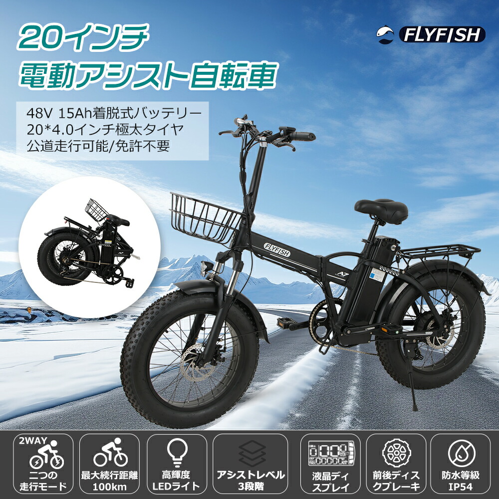 黒いシティタイプ電動アシスト自転車 お取り寄せ】EVEREST XING CITY+ (電動アシスト自転車)20インチ