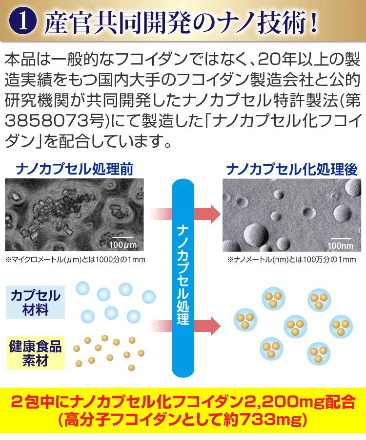 最大59％オフ！ エレフショップNANOフコイダンエキス顆粒 60包入 2個