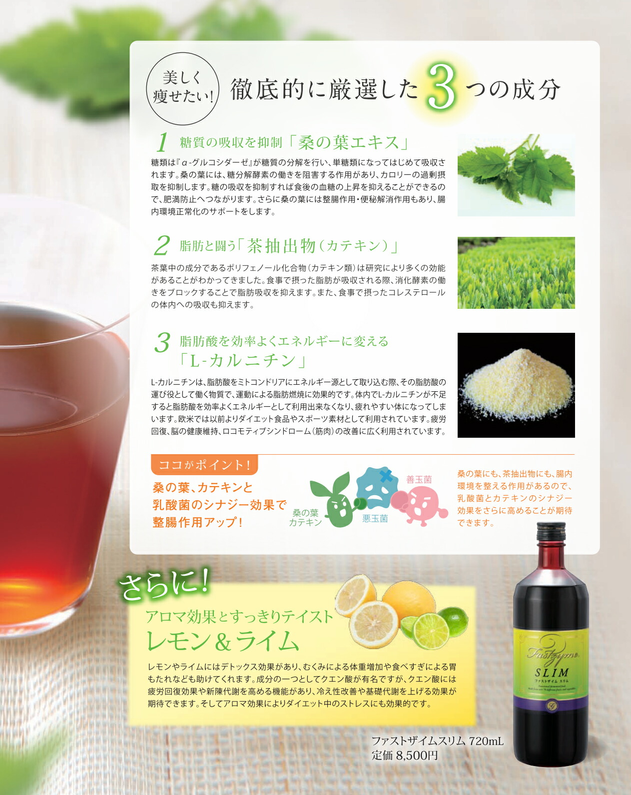 植物性乳酸菌発酵飲料 ファスティング 720ml FASTZYME SLIM ジュースクレンズ スリム ドリンク ファストザイム ファストザイムスリム  ローフード 乳酸菌 原液 正規品 無添加 生食 発酵熟成 腸内フローラ 腸内環境 軽減税率適用 酵母 酵素 酵素ドリンク 酵素飲料 飲料 日本 ...