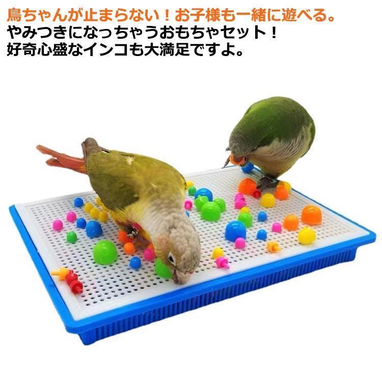 【ゆうちゃん】鳥の餌セット 楽天市場】スドー プレイリング 鳥 おもちゃ セキセイインコ