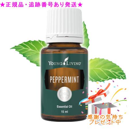 YOUNG LIVING 若い衆・リビング シングルエッセンシャルオイル ストロフルス 15mL 差し上げ物付