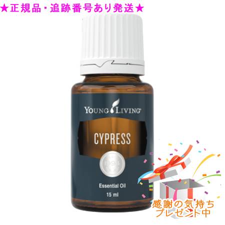 YOUNG LIVING 若い衆・リビング シングルエッセンシャルオイル サイプレス 15mL 差し上げ物付