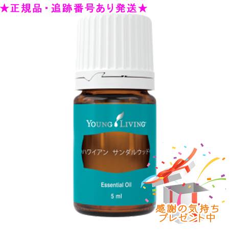 YOUNG LIVING 若い者・リビング シングルエッセンシャルオイル ハワイアン サンダル白木 5mL 差し上げ物付