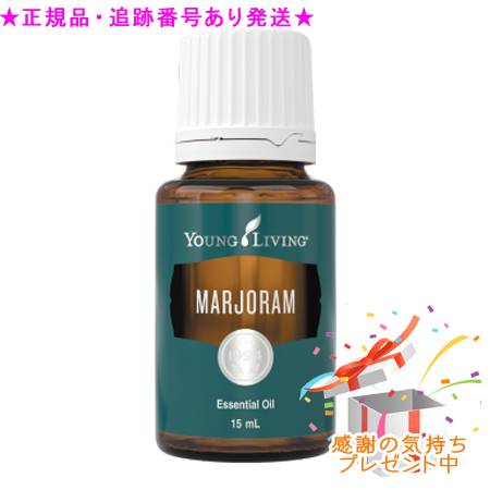 今季注目 在庫あり  【ML3IZ0CWYY9】 限定デザイン