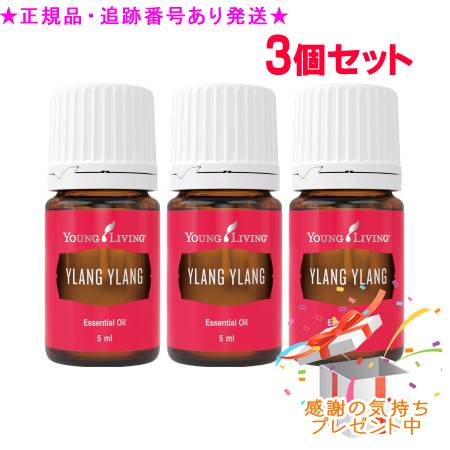 圧倒的人気 あす楽対応 M9OITLGPYPA 型番:M9OITLGPYPA