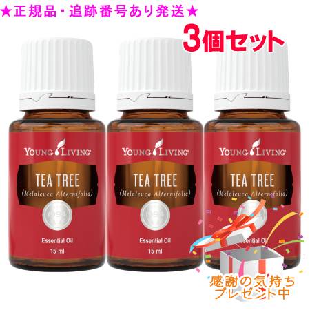 YOUNG LIVING 若い衆・リビング シングルエッセンシャルオイル ティートゥリー 15mL 3個仕掛ける 差し上げ物付