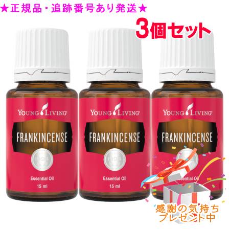 YOUNG LIVING ヤング・リビング シングルエッセンシャルオイル フランキンセンス 15mL 3個セット プレゼント付