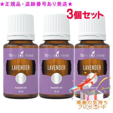 YOUNG LIVING 若い衆・リビング シングルエッセンシャルオイル ラベンダー 15mL 3個仕掛ける 差し上げ物付