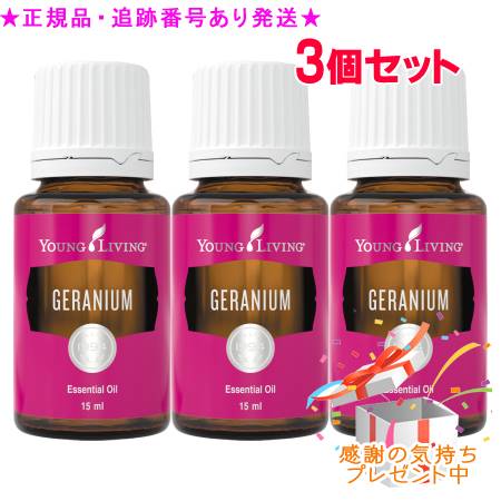 YOUNG LIVING 若い者・リビング シングルエッセンシャルオイル ゼラニウム 15mL 3個書き割り 差し上げ物付