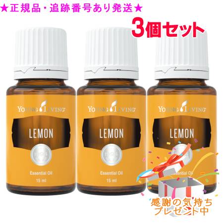リピート多数 【即日発送】 MB4C6BZ42FI [MB4C6BZ42FI]