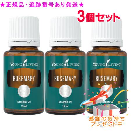 リピート多数 MBR4GFCAEWE [MBR4GFCAEWE]